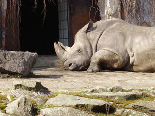 Zoo Ostrava © Imotes