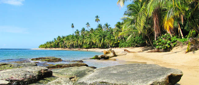 Destinos, actividades recomendables de ocio y excursiones de un día en Costa Rica