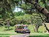 Visión general: Disney's Animal Kingdom Park
